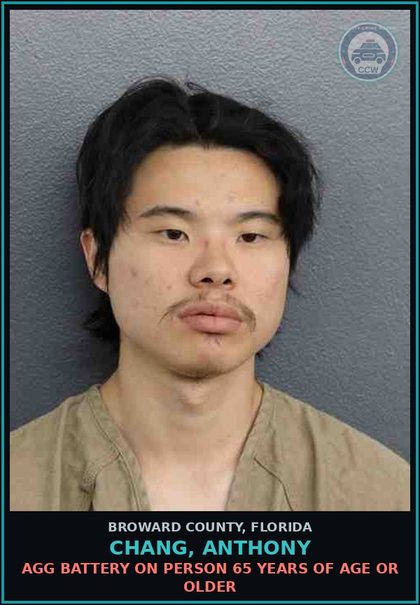CCW arrest card for CHANG, ANTHONY in Broward County: AGG BATTERY ON PERSON 65 YEARS OF AGE OR OLDER