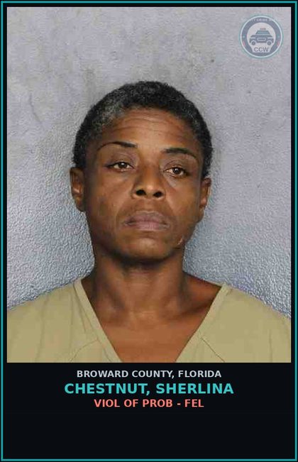 CCW arrest card for CHESTNUT, SHERLINA in Broward County: VIOL OF PROB - FEL