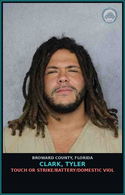 CCW arrest card for CLARK, TYLER in Broward County: TOUCH OR STRIKE/BATTERY/DOMESTIC VIOL
