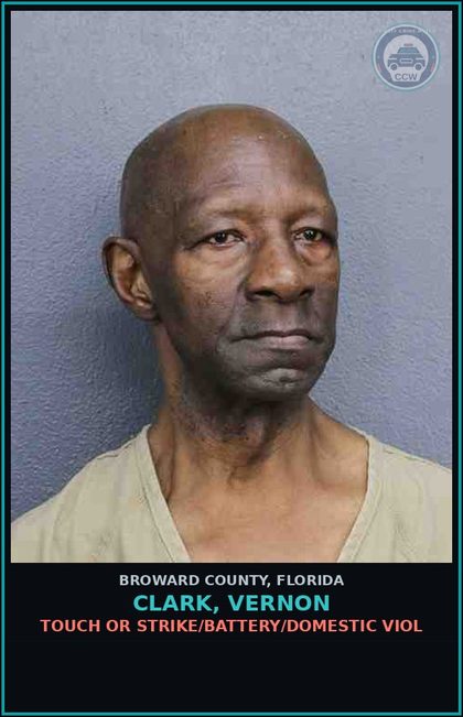 CCW arrest card for CLARK, VERNON in Broward County: TOUCH OR STRIKE/BATTERY/DOMESTIC VIOL