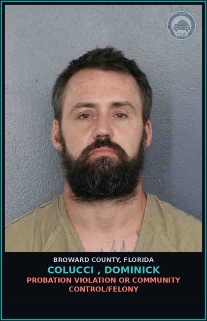 CCW arrest card for COLUCCI , DOMINICK in Broward County: PROBATION VIOLATION OR COMMUNITY CONTROL/FELONY