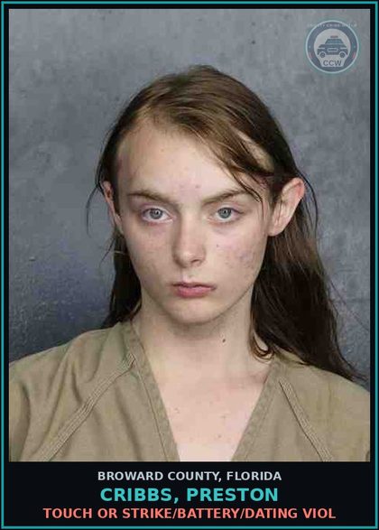 CCW arrest card for CRIBBS, PRESTON in Broward County: TOUCH OR STRIKE/BATTERY/DATING VIOL
