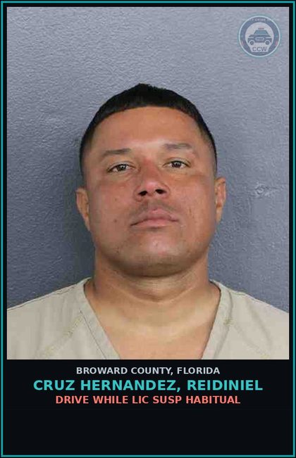 CCW arrest card for CRUZ HERNANDEZ, REIDINIEL in Broward County: DRIVE WHILE LIC SUSP HABITUAL