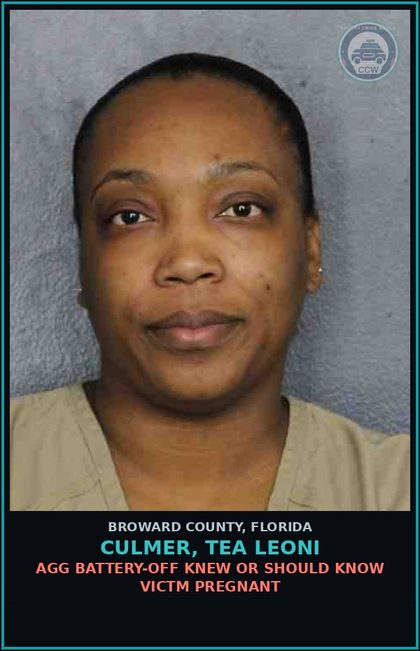 CCW arrest card for CULMER, TEA LEONI in Broward County: AGG BATTERY-OFF KNEW OR SHOULD KNOW VICTM PREGNANT