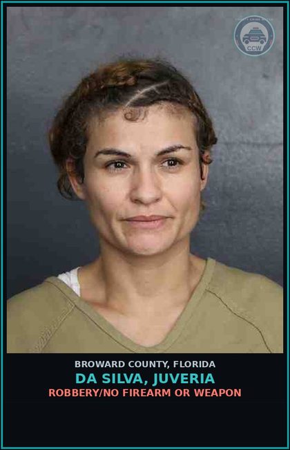 CCW arrest card for DA SILVA, JUVERIA in Broward County: CRIM MISCH - 200 UNDER 1000 DOLS 1ST OFF