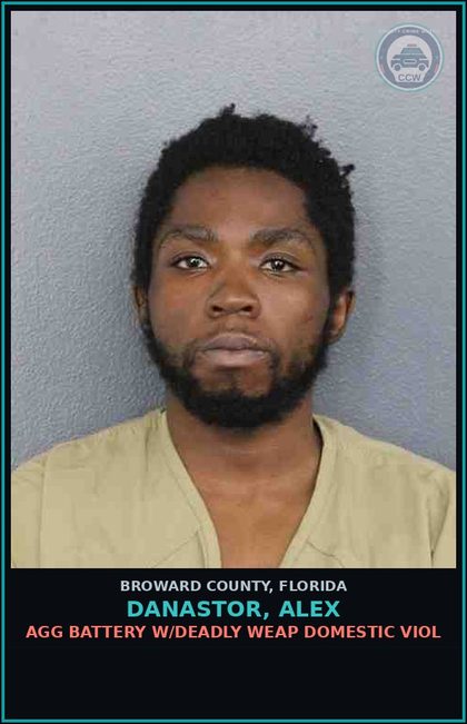 CCW arrest card for DANASTOR, ALEX in Broward County: AGG BATTERY W/DEADLY WEAP DOMESTIC VIOL