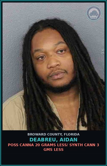 CCW arrest card for DEABREU, AIDAN in Broward County: FALSE ID GIVEN TO LEO