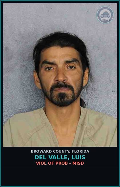 CCW arrest card for DEL VALLE, LUIS in Broward County: VIOL OF PROB - MISD