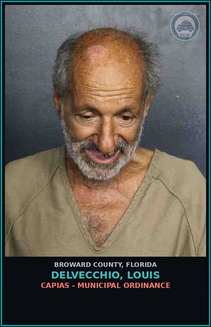 CCW arrest card for DELVECCHIO, LOUIS in Broward County: CAPIAS - MUNICIPAL ORDINANCE