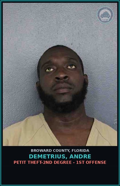CCW arrest card for DEMETRIUS, ANDRE in Broward County: PETIT THEFT-2ND DEGREE - 1ST OFFENSE