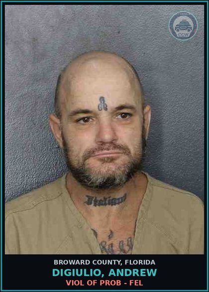 CCW arrest card for DIGIULIO, ANDREW in Broward County: VIOL OF PROB - FEL