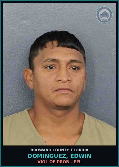 CCW arrest card for DOMINGUEZ, EDWIN in Broward County: VIOL OF PROB - FEL
