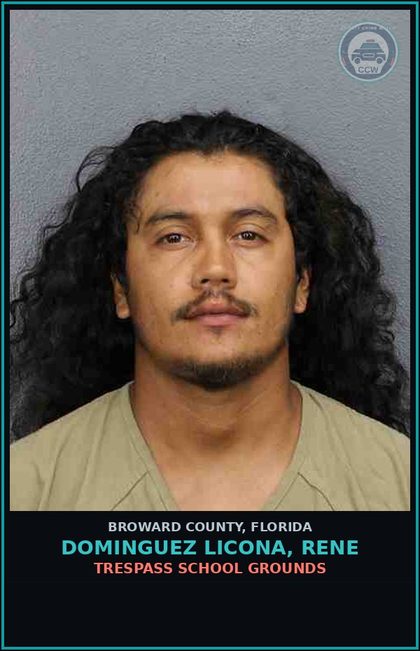 CCW arrest card for DOMINGUEZ LICONA, RENE in Broward County: LOITERING OR PROWLING