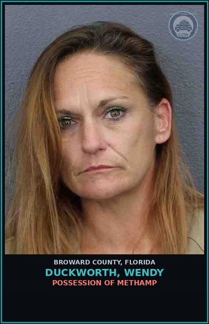 CCW arrest card for DUCKWORTH, WENDY in Broward County: DISOBEY GREEN LIGHT           