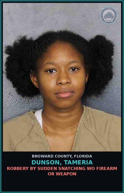 CCW arrest card for DUNSON, TAMERIA in Broward County: ROBBERY BY SUDDEN SNATCHING WO FIREARM OR WEAPON