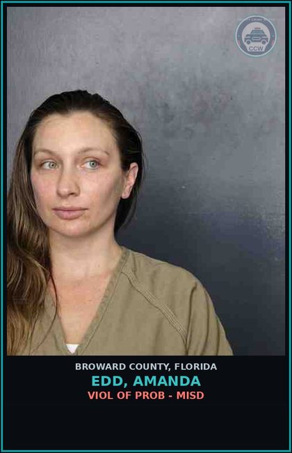 CCW arrest card for EDD, AMANDA in Broward County: VIOL OF PROB - MISD