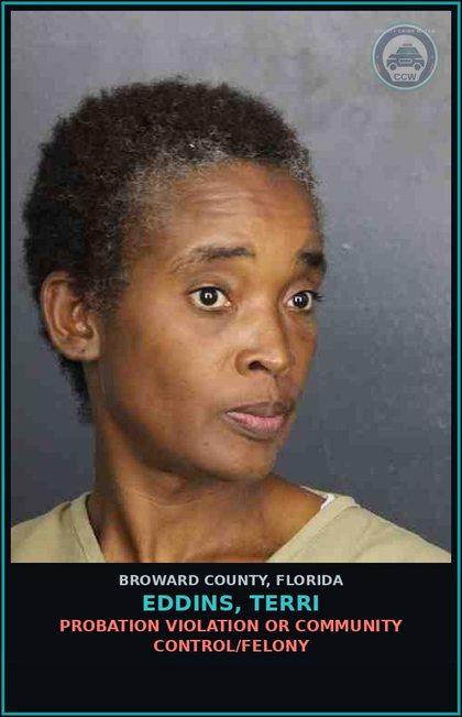 CCW arrest card for EDDINS, TERRI in Broward County: PETIT THEFT-2ND DEGREE - 3RD SUBSQ OFFENSE