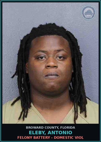 CCW arrest card for ELEBY, ANTONIO in Broward County: FELONY BATTERY - DOMESTIC VIOL