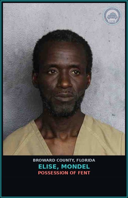 CCW arrest card for ELISE, MONDEL in Broward County: THREATEN DEATH/HARM LEO/ST ATTY/ASA OR FAM
