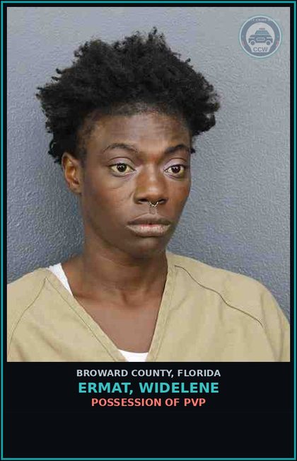 CCW arrest card for ERMAT, WIDELENE in Broward County: POSSESSION OF PVP