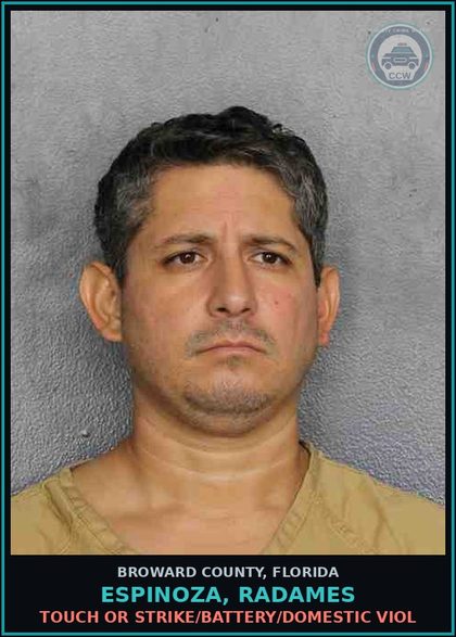 CCW arrest card for ESPINOZA, RADAMES in Broward County: IMM FED HLD