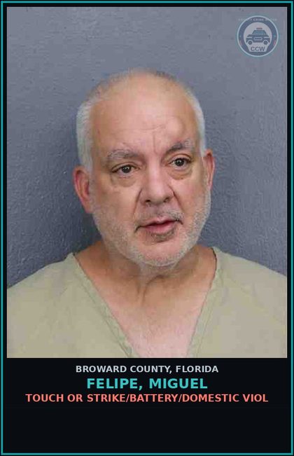 CCW arrest card for FELIPE, MIGUEL in Broward County: TOUCH OR STRIKE/BATTERY/DOMESTIC VIOL