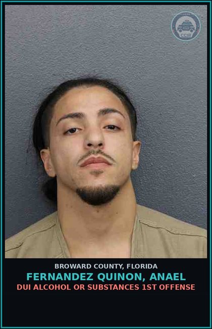 CCW arrest card for FERNANDEZ QUINON, ANAEL in Broward County: DUI ALCOHOL OR DRUGS  1ST OFFENSE
