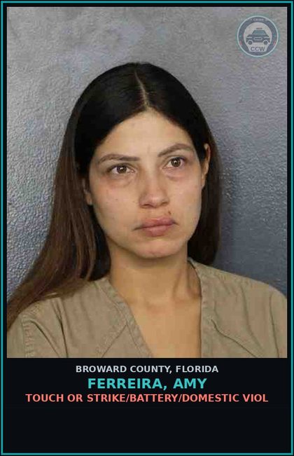 CCW arrest card for FERREIRA, AMY in Broward County: TOUCH OR STRIKE/BATTERY/DOMESTIC VIOL