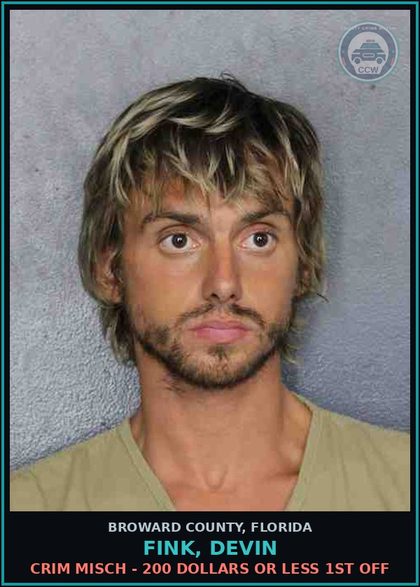 CCW arrest card for FINK, DEVIN in Broward County: CRIM MISCH - 200 DOLLARS OR LESS 1ST OFF