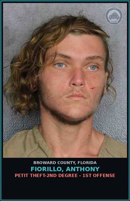 CCW arrest card for FIORILLO, ANTHONY in Broward County: PETIT THEFT-2ND DEGREE - 1ST OFFENSE