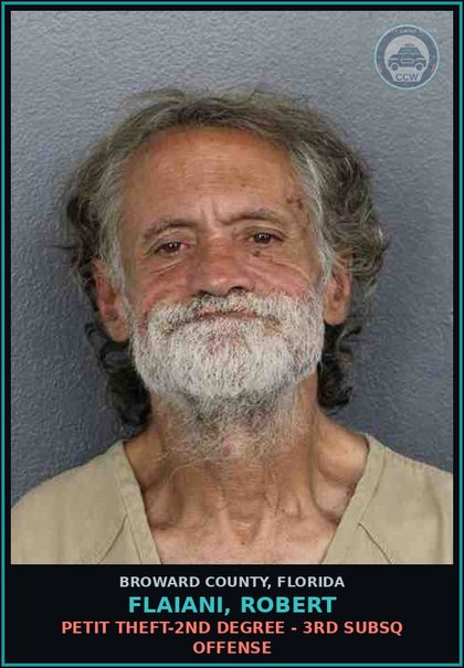CCW arrest card for FLAIANI, ROBERT in Broward County: PETIT THEFT-2ND DEGREE - 3RD SUBSQ OFFENSE