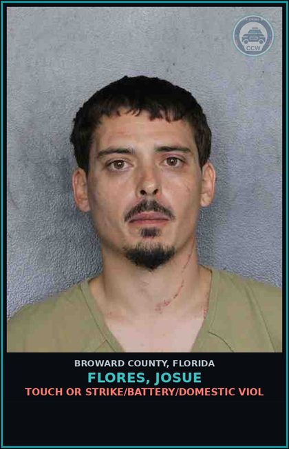 CCW arrest card for FLORES, JOSUE in Broward County: TOUCH OR STRIKE/BATTERY/DOMESTIC VIOL