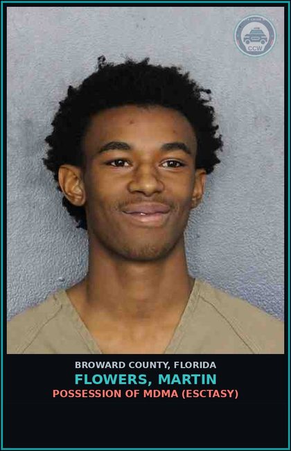 CCW arrest card for FLOWERS, MARTIN in Broward County: POSSESSION OF MDMA (ESCTASY)