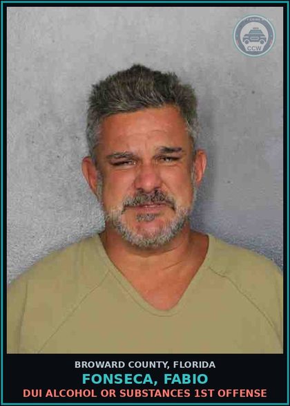 CCW arrest card for FONSECA, FABIO in Broward County: DUI ALCOHOL OR DRUGS  1ST OFFENSE