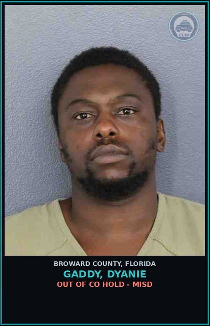 CCW arrest card for GADDY, DYANIE in Broward County: OUT OF CO HOLD - MISD