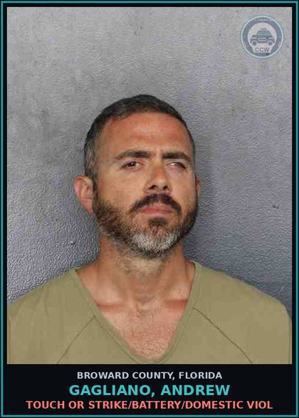 CCW arrest card for GAGLIANO, ANDREW in Broward County: TOUCH OR STRIKE/BATTERY/DOMESTIC VIOL