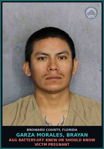 CCW arrest card for GARZA MORALES, BRAYAN in Broward County: AGG BATTERY-OFF KNEW OR SHOULD KNOW VICTM PREGNANT