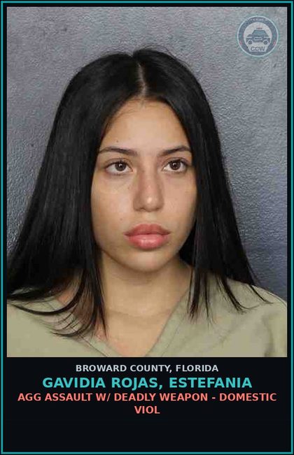 CCW arrest card for GAVIDIA ROJAS, ESTEFANIA in Broward County: TOUCH OR STRIKE/BATTERY