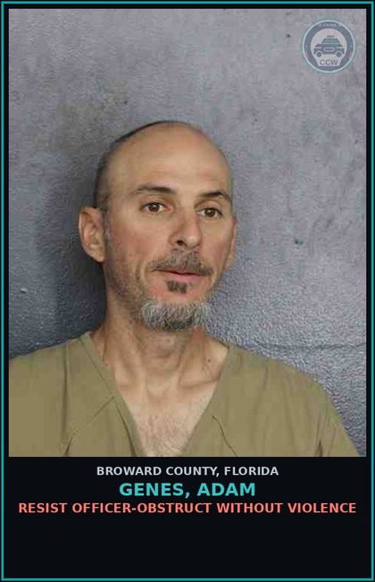 CCW arrest card for GENES, ADAM in Broward County: RESIST OFFICER-OBSTRUCT WITHOUT VIOLENCE