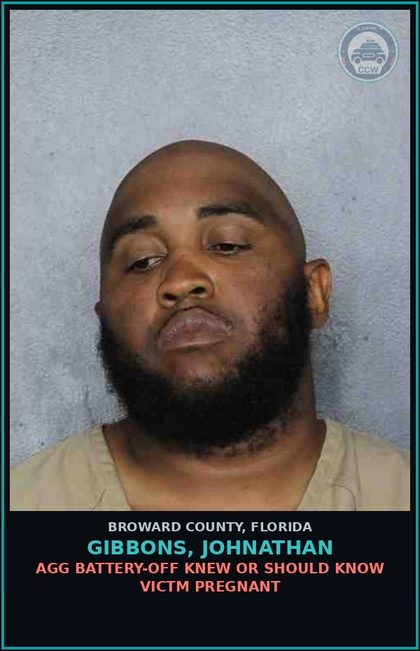 CCW arrest card for GIBBONS, JOHNATHAN in Broward County: FALSE IMPRISONMENT OF PERSON
