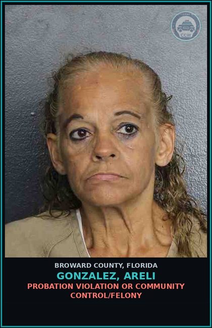 CCW arrest card for GONZALEZ, ARELI in Broward County: POSSESSION OF COCAINE