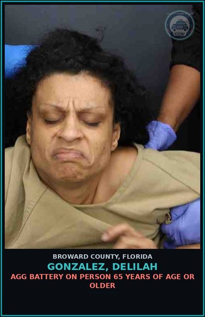 CCW arrest card for GONZALEZ, DELILAH in Broward County: AGG BATTERY ON PERSON 65 YEARS OF AGE OR OLDER