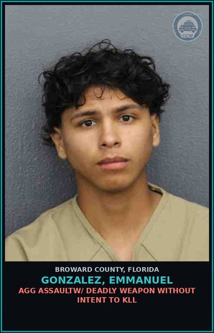 CCW arrest card for GONZALEZ, EMMANUEL in Broward County: AGG ASSAULTW/ DEADLY WEAPON WITHOUT INTENT TO KILL