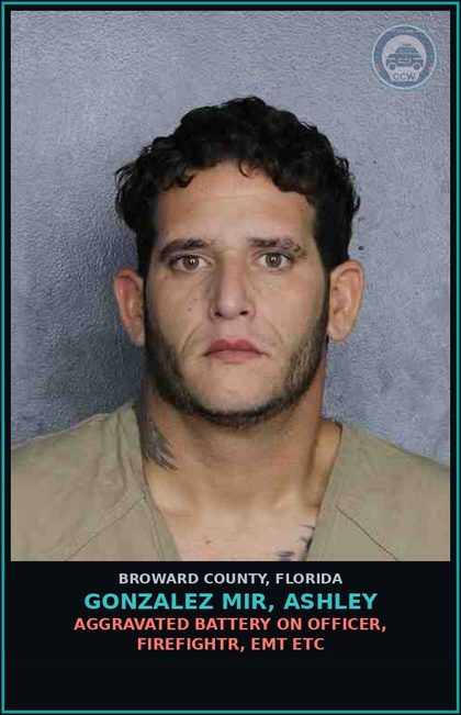 CCW arrest card for GONZALEZ MIR, ASHLEY in Broward County: TOUCH OR STRIKE/BATTERY/DOMESTIC VIOL