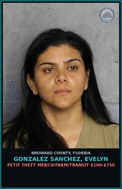 CCW arrest card for GONZALEZ SANCHEZ, EVELYN in Broward County: PETIT THEFT MERCH/FARM/TRANSIT $100-$750