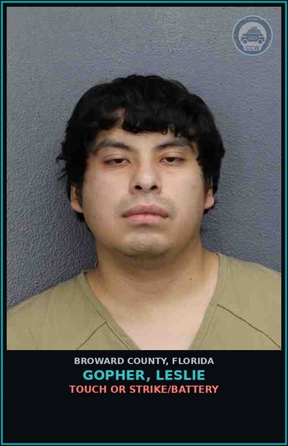CCW arrest card for GOPHER, LESLIE in Broward County: TOUCH OR STRIKE/BATTERY