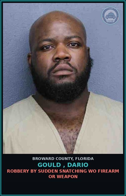 CCW arrest card for GOULD , DARIO in Broward County: TOUCH OR STRIKE/BATTERY/DOMESTIC VIOL