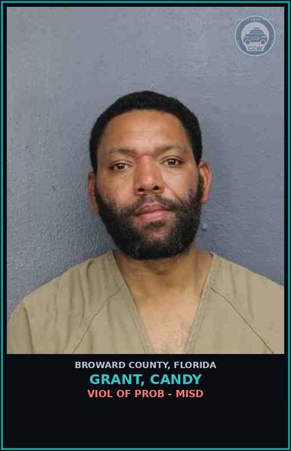 CCW arrest card for GRANT, CANDY in Broward County: VIOL OF PROB - MISD