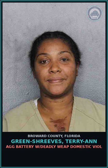 CCW arrest card for GREEN-SHREEVES, TERRY-ANN in Broward County: AGG BATTERY W/DEADLY WEAP DOMESTIC VIOL