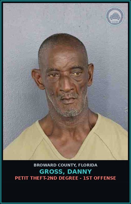 CCW arrest card for GROSS, DANNY in Broward County: PETIT THEFT-2ND DEGREE - 1ST OFFENSE